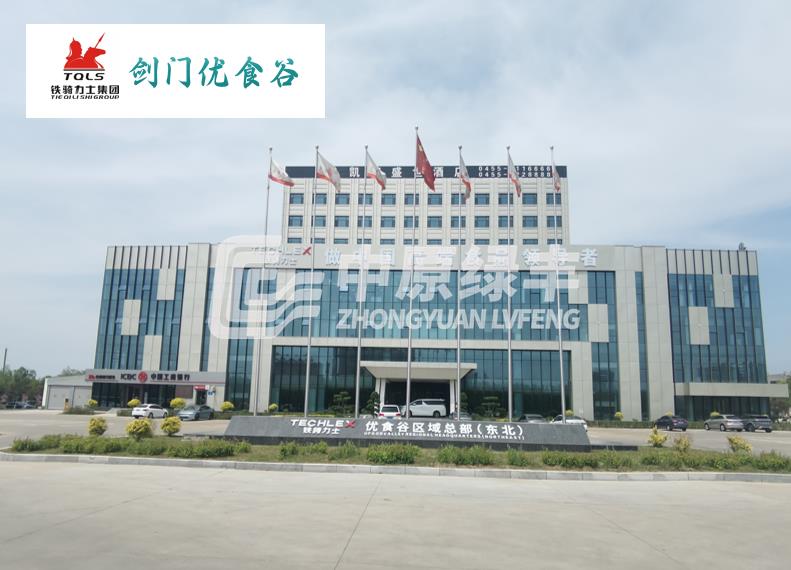 劍門優食谷食品300噸豆制品熟食加工廢水處理工程